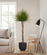 Load image into Gallery viewer, Stone Black
