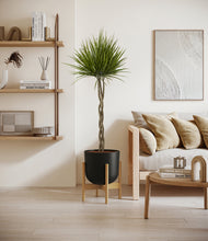 Load image into Gallery viewer, Stone Black stand:bamboo
