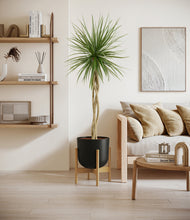 Load image into Gallery viewer, Stone Black stand:bamboo
