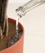 Load image into Gallery viewer, Earth Red
