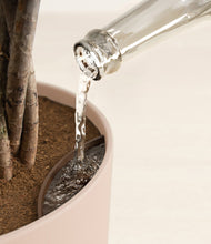 Load image into Gallery viewer, Sandy Pink
