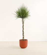 Load image into Gallery viewer, Earth Red*****Profile
