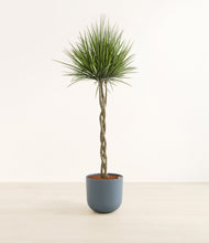 Load image into Gallery viewer, Iron Gray*****Profile
