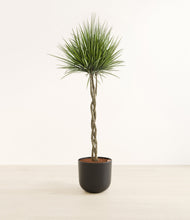 Load image into Gallery viewer, Stone Black*****Profile
