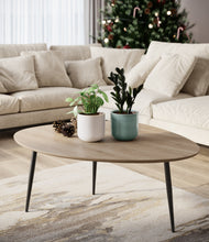 Load image into Gallery viewer, Frosted Pine
