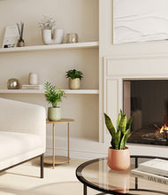 Load image into Gallery viewer, Lily Pad
