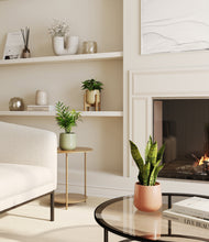 Load image into Gallery viewer, Lily Pad stand:one_stand
