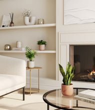 Load image into Gallery viewer, Peach Blossom
