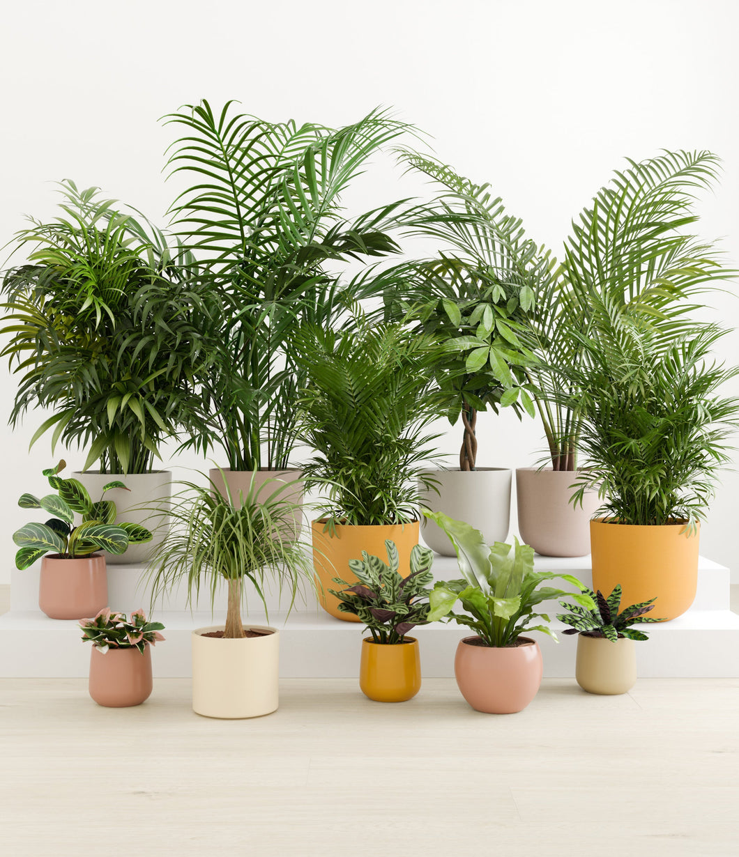 Evening Sky*****Profile