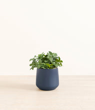 Load image into Gallery viewer, Deep Navy*****Profile
