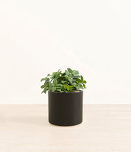 Load image into Gallery viewer, Black*****Profile
