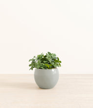 Load image into Gallery viewer, Deep Ocean*****Profile
