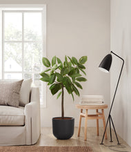 Load image into Gallery viewer, Stone Black
