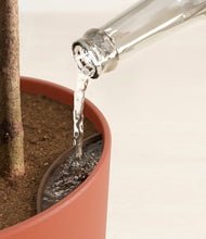 Load image into Gallery viewer, Earth Red
