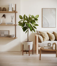 Load image into Gallery viewer, Natural Bamboo stand:walnut
