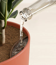 Load image into Gallery viewer, Earth Red stand:all
