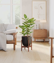 Load image into Gallery viewer, -
