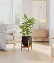 Load image into Gallery viewer, -
