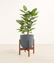 Load image into Gallery viewer, -
