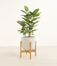 Load image into Gallery viewer, -
