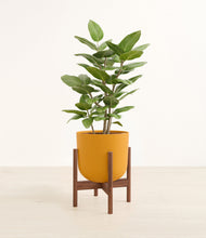 Load image into Gallery viewer, -
