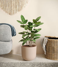 Load image into Gallery viewer, Sandy Pink
