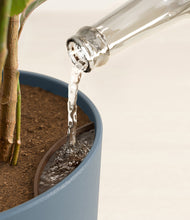 Load image into Gallery viewer, Iron Gray stand:all
