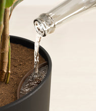 Load image into Gallery viewer, Stone Black stand:all
