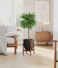 Load image into Gallery viewer, Stone Black stand:walnut
