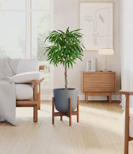 Load image into Gallery viewer, Iron Gray stand:walnut
