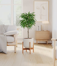 Load image into Gallery viewer, Natural Bamboo stand:bamboo
