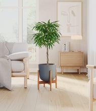 Load image into Gallery viewer, Iron Gray stand:bamboo
