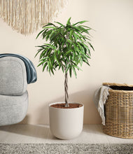 Load image into Gallery viewer, Natural Bamboo
