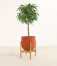 Load image into Gallery viewer, Earth Red stand:bamboo
