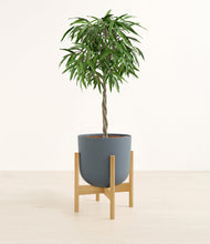 Load image into Gallery viewer, Iron Gray stand:bamboo
