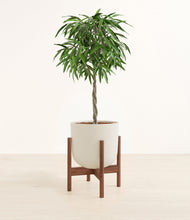 Load image into Gallery viewer, Natural Bamboo stand:walnut
