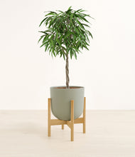 Load image into Gallery viewer, Sage Green stand:bamboo
