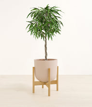 Load image into Gallery viewer, Sandy Pink stand:bamboo
