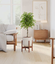 Load image into Gallery viewer, Natural Bambo stand:walnut
