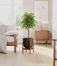 Load image into Gallery viewer, Stone Black stand:walnut
