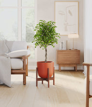 Load image into Gallery viewer, Earth Red stand:walnut
