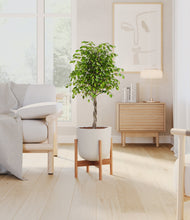 Load image into Gallery viewer, Natural Bambo stand:bamboo
