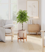 Load image into Gallery viewer, Sandy Pink stand:bamboo
