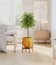 Load image into Gallery viewer, Sunset Orange stand:bamboo
