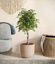 Load image into Gallery viewer, Sandy Pink
