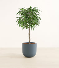 Load image into Gallery viewer, Iron Gray*****Profile
