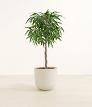 Load image into Gallery viewer, Natural Bamboo*****Profile
