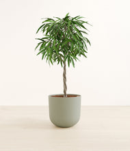 Load image into Gallery viewer, Sage Green*****Profile
