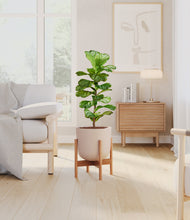 Load image into Gallery viewer, Sandy Pink stand:bamboo
