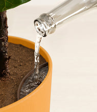 Load image into Gallery viewer, Sunset Orange stand:all
